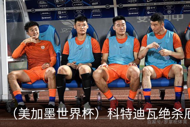 （美加墨世界杯）科特迪瓦绝杀厄瓜多尔 瑞典5:1大胜突尼斯
